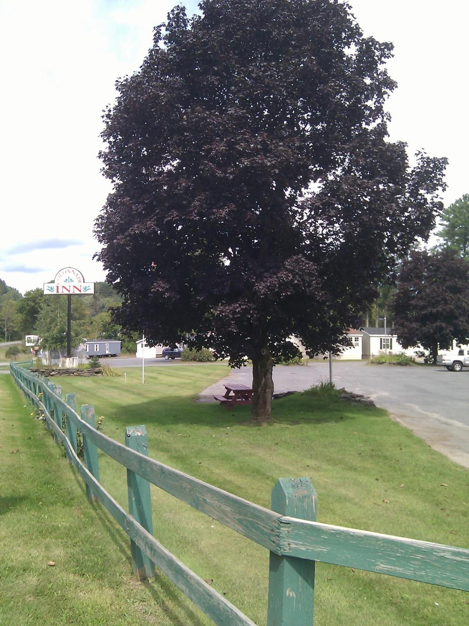 Colonnade Inn Lyndonville Esterno foto